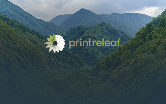 Stalam se une a Printreleaf para la reforestación global.