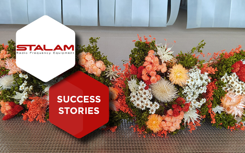 Excellence in dried flowers: Diemme Fiori sanitizes with the revolutionary Stalam technology